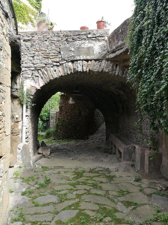 Puig De *